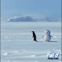The Mountain Penguin GIF by Pudgy Penguins