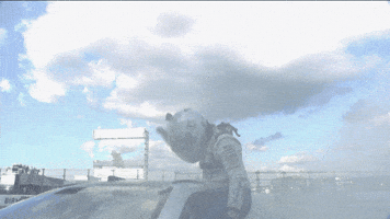 Stock Car Racing GIF by NASCAR