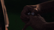 Ring GIF by ABC Network
