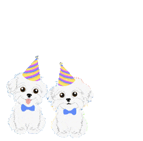 Happy Birthday Sticker by HammyandBrody