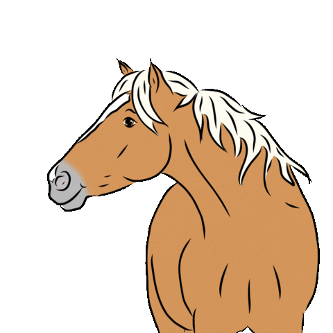 haflingersteve horse pony paard haflinger Sticker