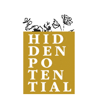 Bible Possibility Sticker by Proverbs 31 Ministries