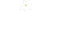 persianascanet canet persianascanet canetinspo Sticker