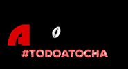AtochaMiami atocha todoatocha GIF