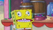 204b GIF by SpongeBob SquarePants