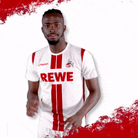 1 Fc Cologne Football GIF by 1. FC Köln