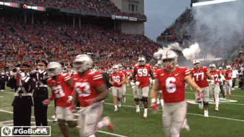 Ncaa Sports GIF by Ohio State Athletics