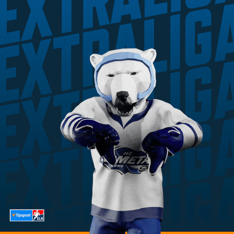 Hockey Hokej GIF by Tipsport extraliga