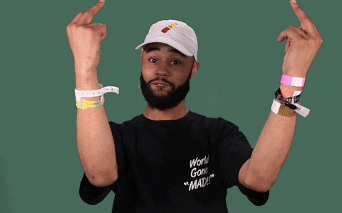 middle fingers up GIF by Chaz French