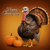 Thanksgiving Happy Holidays GIF by MidwestHubTV