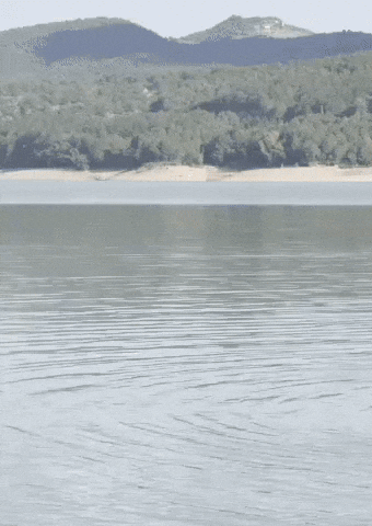 Tvln GIF by The Vanlife Network