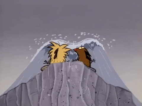 nickrewind giphydvr nicksplat angry beavers giphyab002 GIF