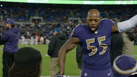 Happy National Football League GIF by Baltimore Ravens