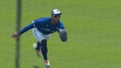 Blue Jays Mlb GIF by Toronto Blue Jays