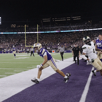 Bow Down University Of Washington GIF by Washington Athletics