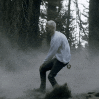 violetmaimbourg cannonball manorofanimals violetmaimbourg GIF