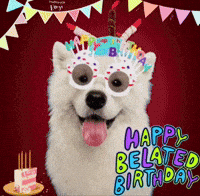 Happy Birthday Congrats GIF