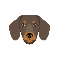 Dog Kuza Sticker by Pri Smrčku