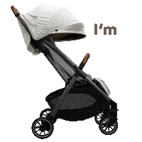 Parcel Buggy Sticker by Joie