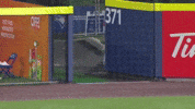 Pitching New York Yankees GIF