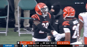 Cincinnati Bengals Football GIF by NFL