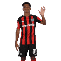 Good Morning Hello Sticker by Bayer 04 Leverkusen