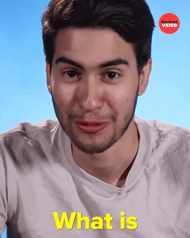 What The Hell Is This GIF by BuzzFeed