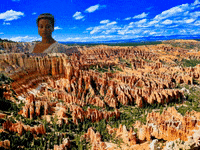 You Can Wow GIF by FranchiseONE.de