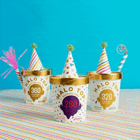 celebrate new years GIF by Halo Top Creamery