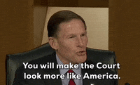 Senate Judiciary Committee GIF by GIPHY News