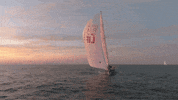 Sunset Sailing GIF by Clipper Round the World Yacht Race