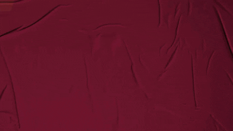 College Baseball GIF by Pearl River Athletics