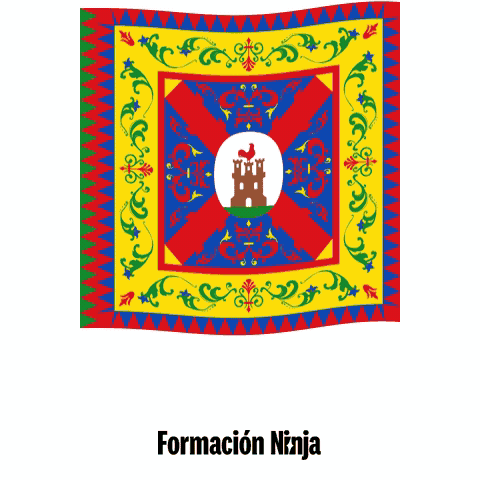 Flag Spain GIF by Formación Ninja