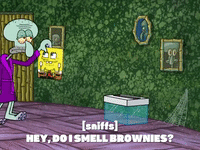 season 8 GIF by SpongeBob SquarePants
