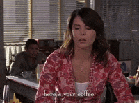 season 6 netflix GIF by Gilmore Girls 