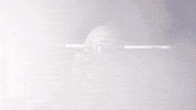 Monarchs Old Dominion Football GIF by ODU Football