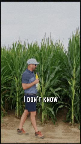 mutinyag giphyupload agriculture corn agronomy GIF