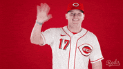 Baseball Mlb GIF by Cincinnati Reds