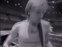 def leppard GIF