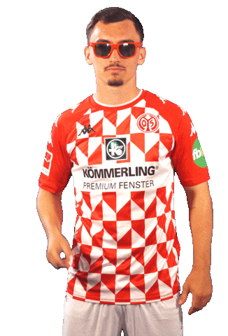 fsvmainz05 giphyupload cool bundesliga sonnenbrille Sticker