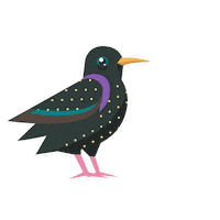 Starling Bird Of The Year Sticker by RSPB