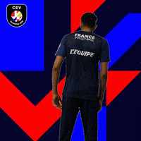 EuroVolley2019Fr volleyball eurovolley ffvolley edfvolley GIF