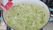 GIF by PBS