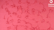 GIF by PBS