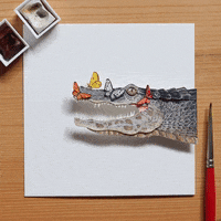 NVillustration animation butterfly wildlife stopmotion GIF