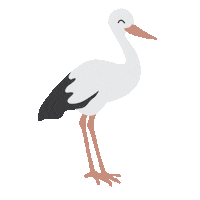 nooxcitykids dieren ooievaar noox nooxcitykids Sticker