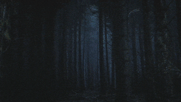 Halloween Forest GIF