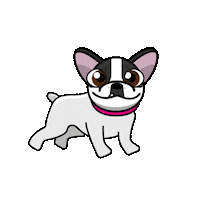 Goat_Animation happy dog yes no Sticker