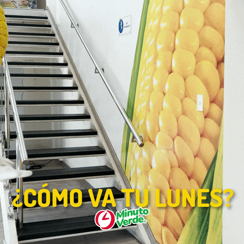 GIF by Minuto Verde