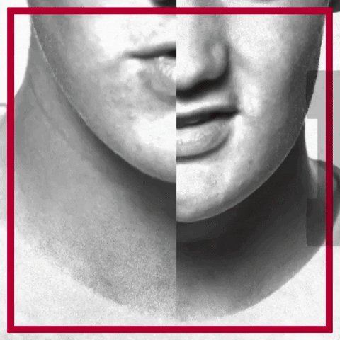 Sport GIF by AFC Ajax